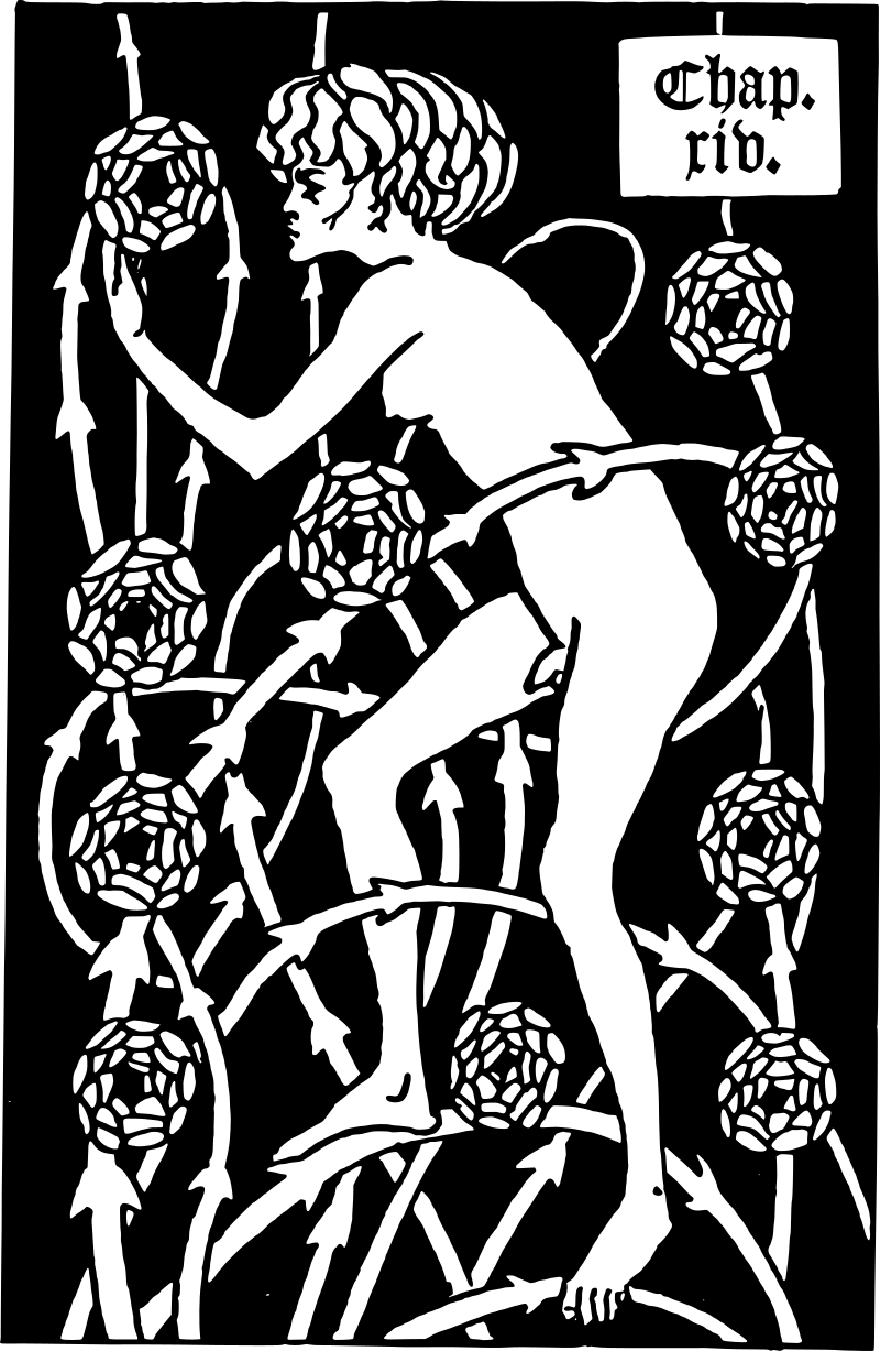 Hermaphroditus