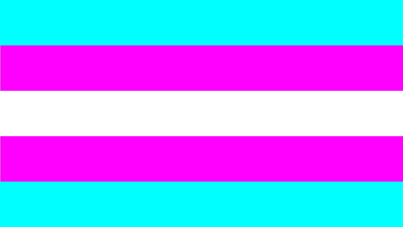 Chastity Transgender Flag