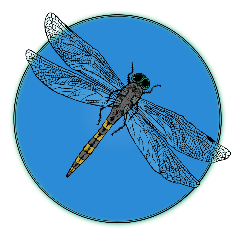 Dragonfly in a Circle - Colour Remix