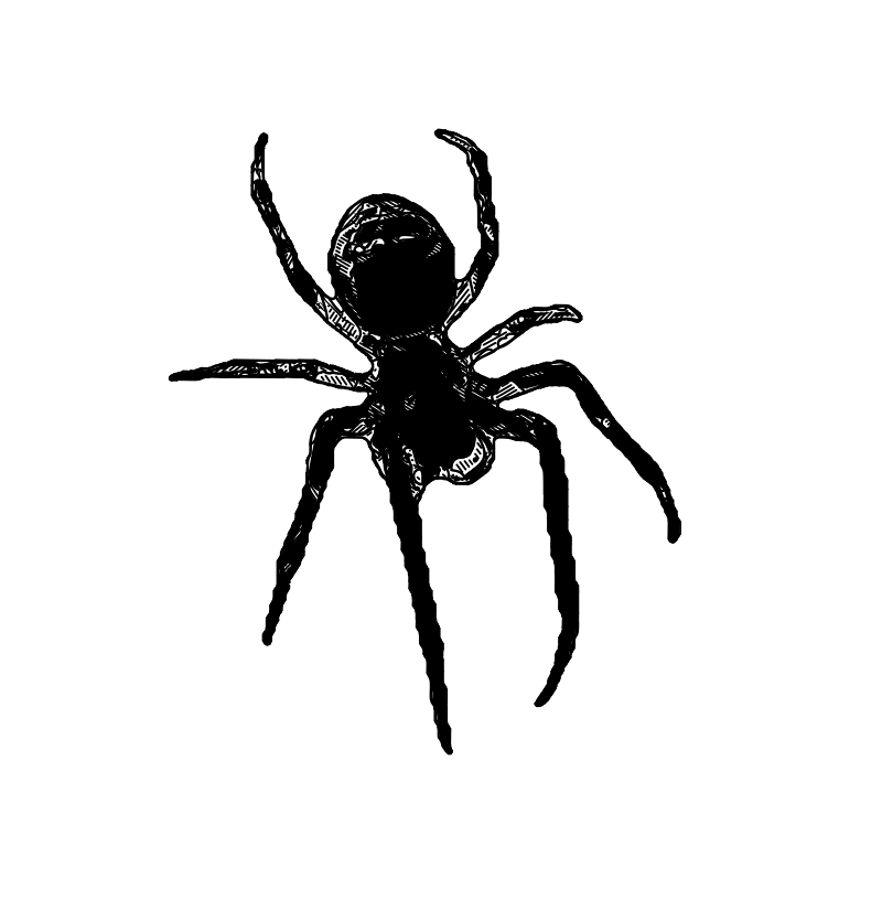Spider