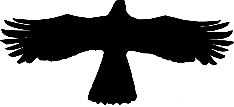 Silhouette
