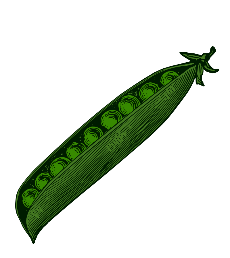 Classic Pea Pod - Colour Remix