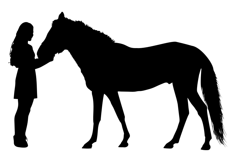 Girl And Horse - Remix