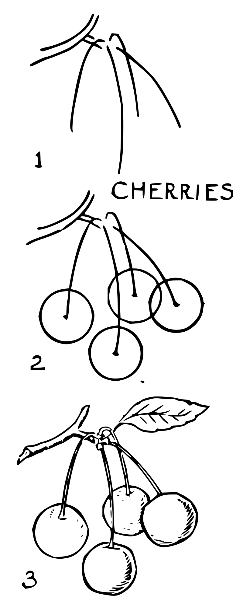 Lutz - Cherries - in 3 steps