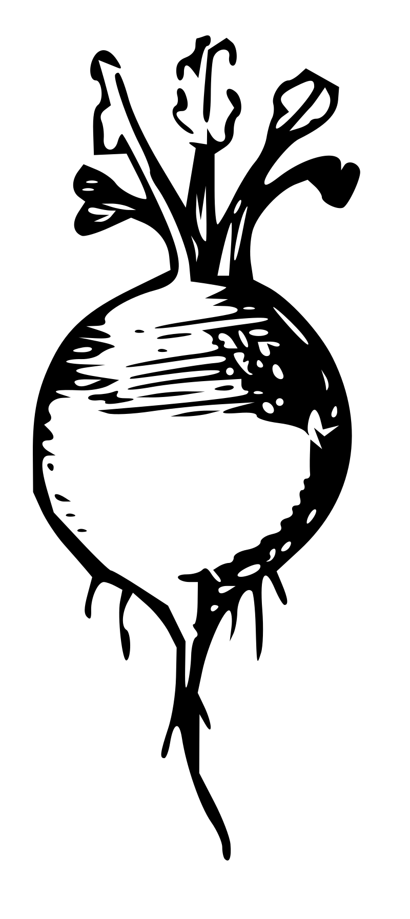 Lutz - Radish - outline