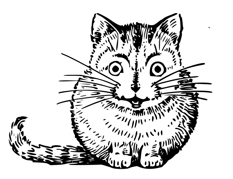 Lutz - Cat Front - outline