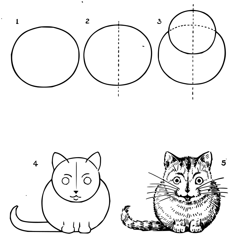 Lutz - Cat Front - in 5 steps