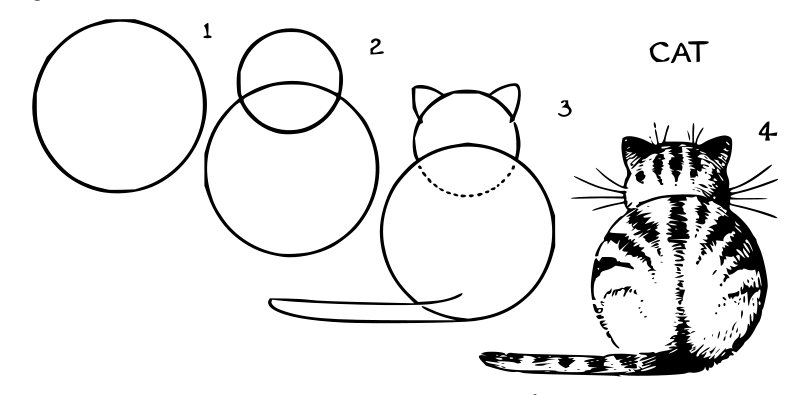 Lutz - Cat Back - in 4 steps