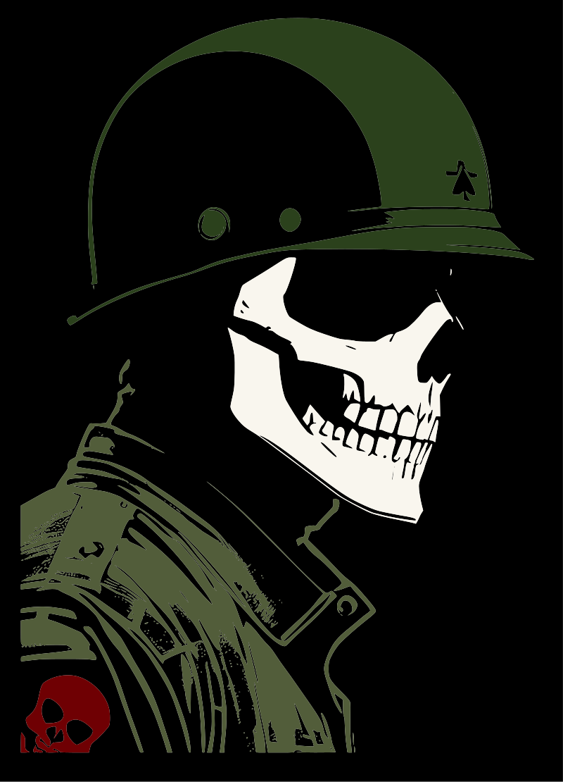 Skull in helmet remix