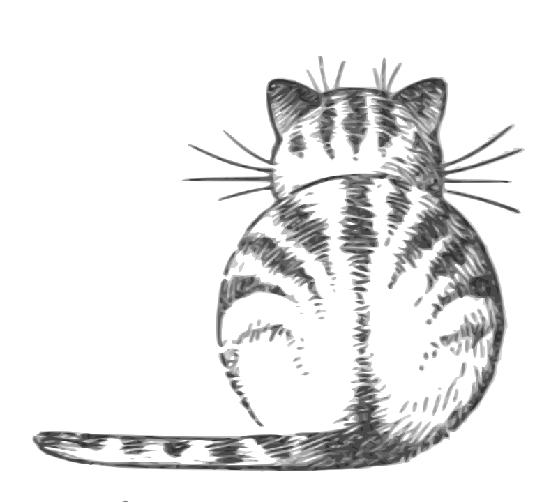Lutz - Cat Back - grayscale