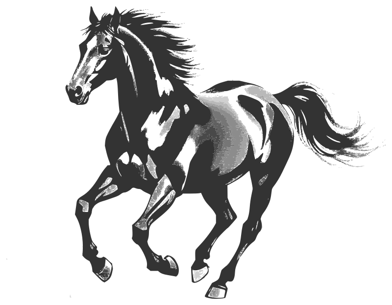 Running horse - grayscale