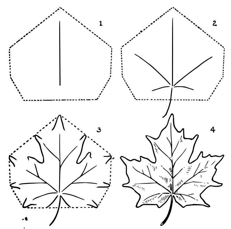 Lutz - Maple leaf - in 4 steps