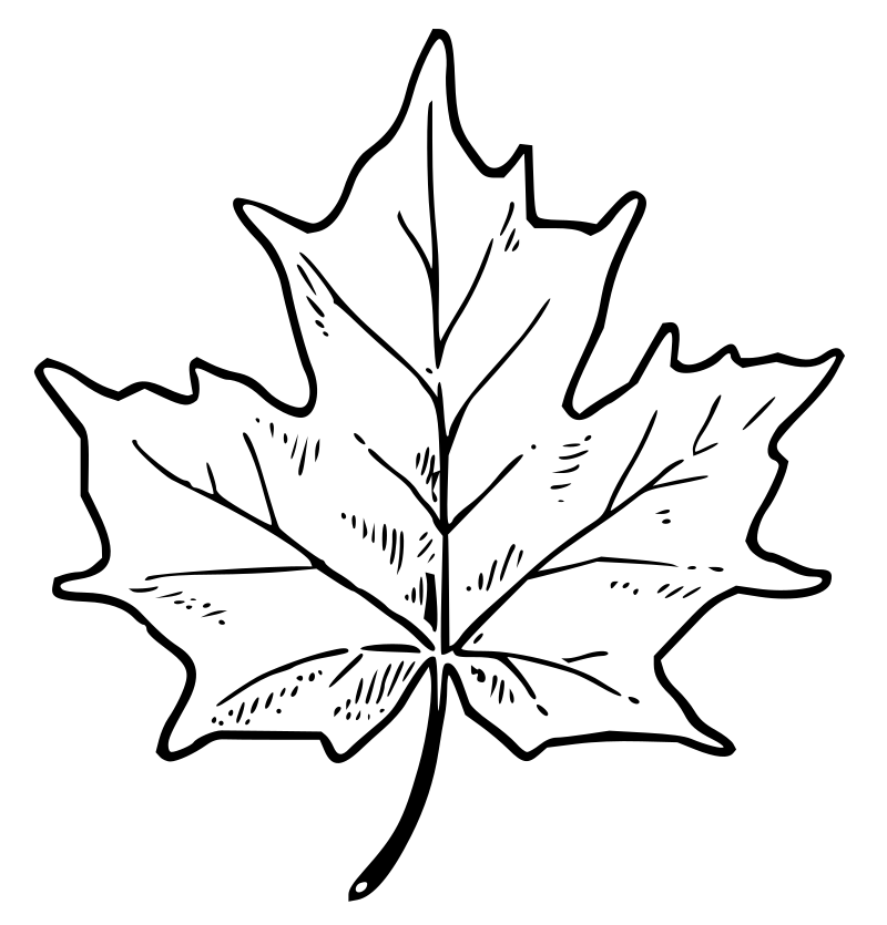 Lutz - Maple leaf - outline