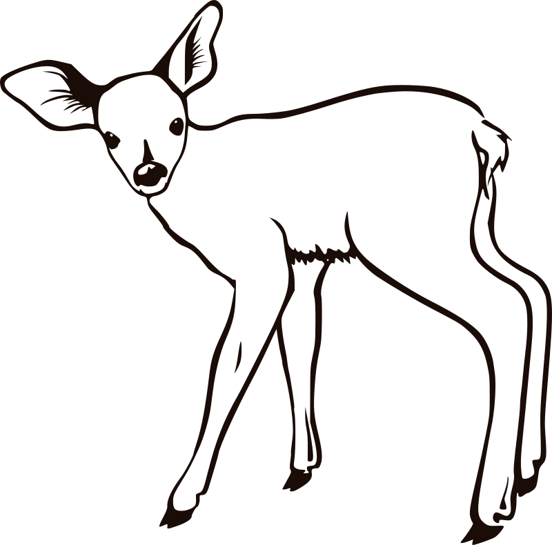 fawn outline