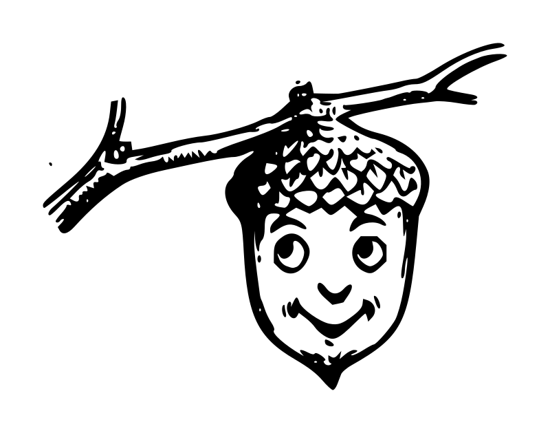 Lutz - Falling Acorn 1