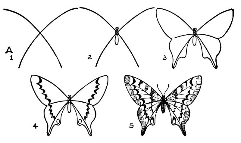 Lutz Butterfly A - in 5 steps