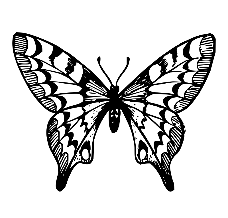 Lutz - Butterfly A - outline
