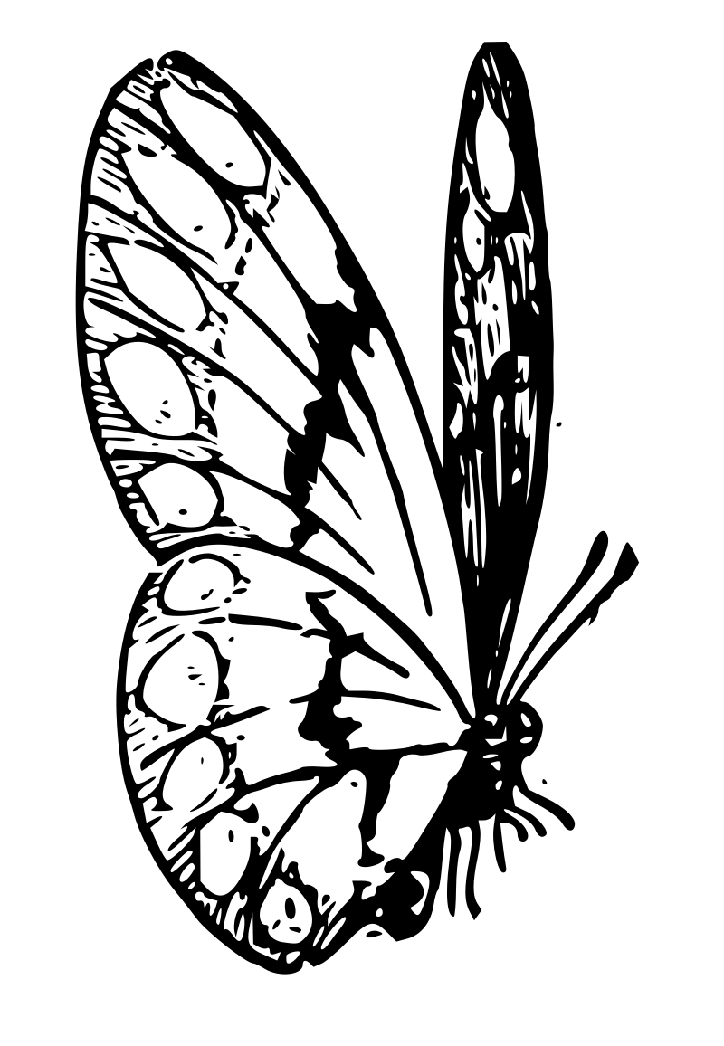 Lutz - Butterfly C - outline