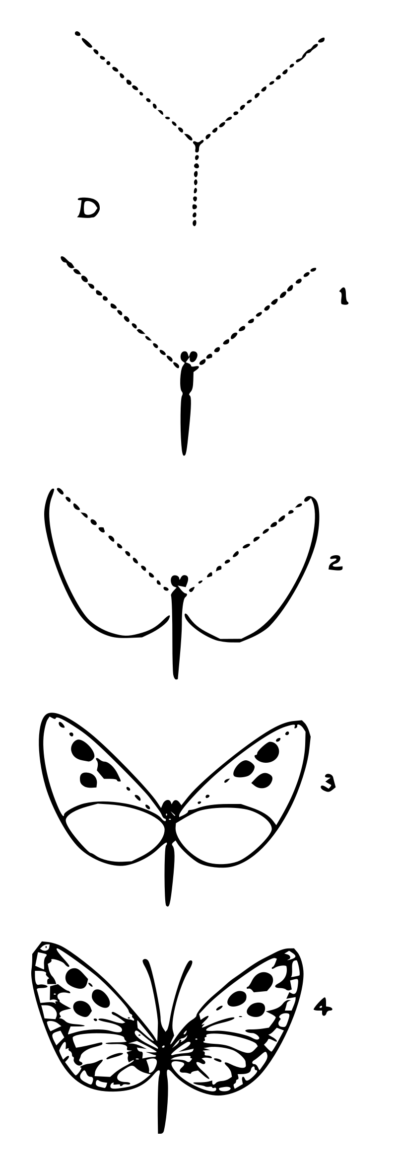 Lutz - Butterfly D - in 4 steps