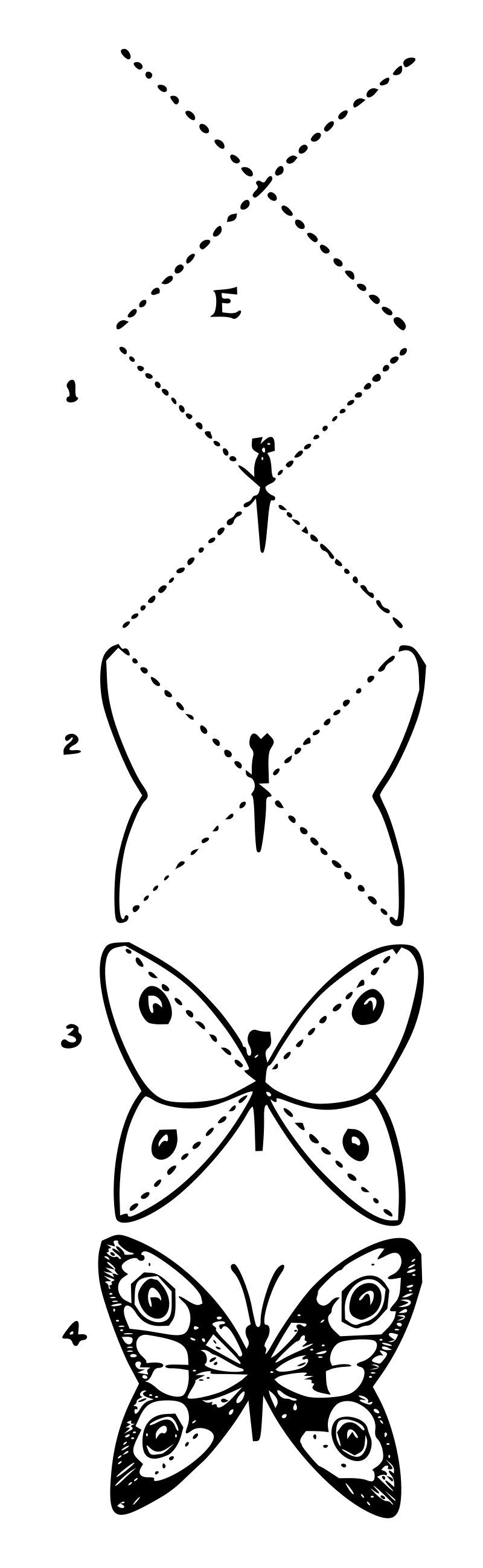 Lutz - Butterfly E - in 4 steps