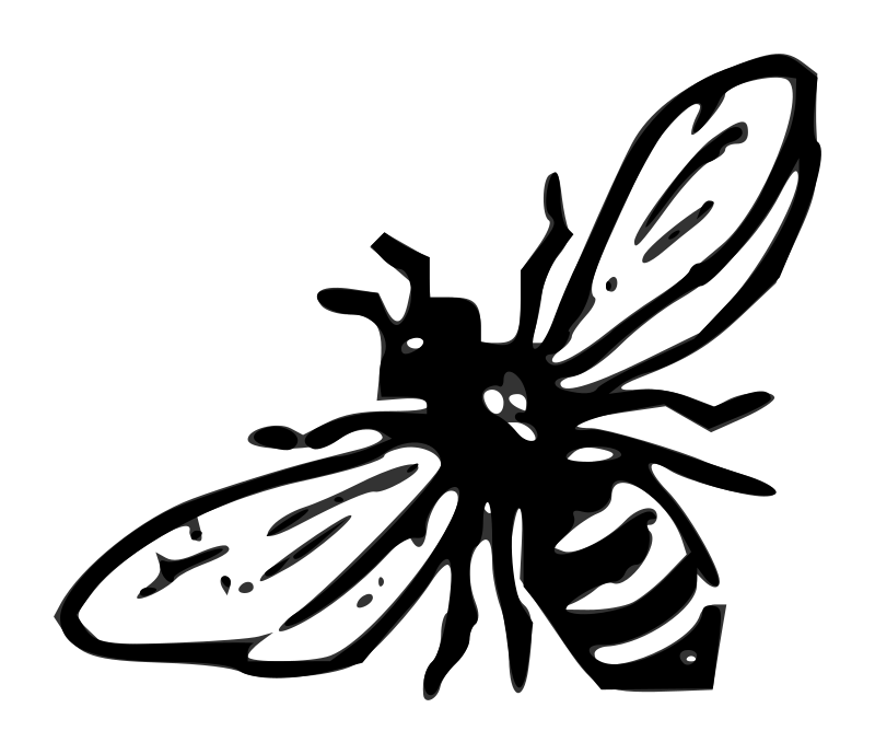 Lutz - Bee 2 - outline