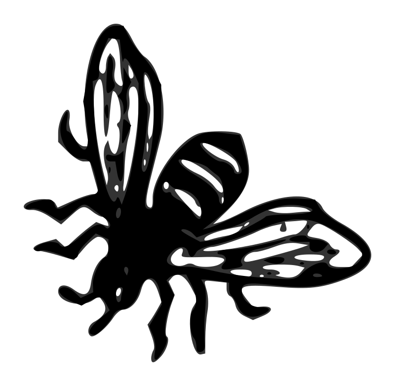 Lutz - Bee 3 - outline