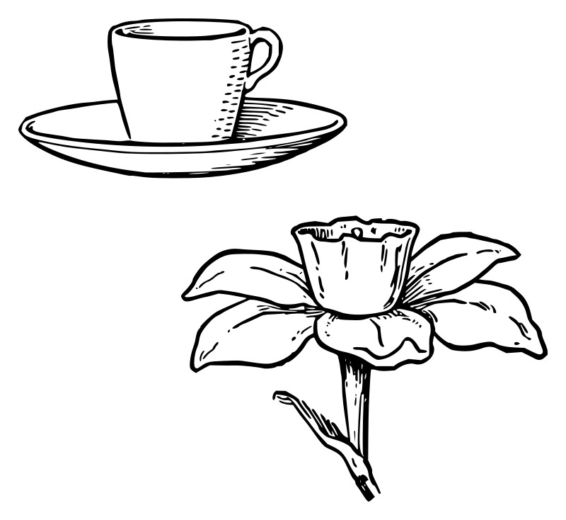 Lutz - Narcissus like a Cup with Saucer - outline