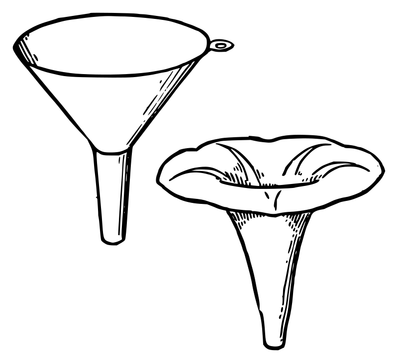 Lutz - Morning Glory like a Funnel