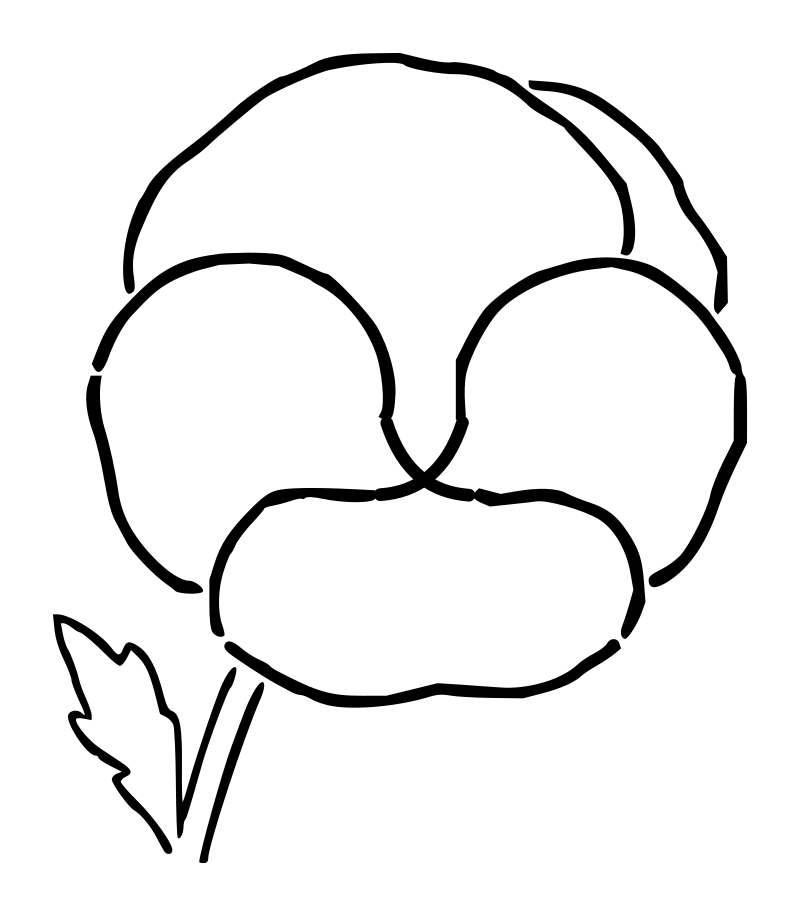 Lutz - Pansy - outline