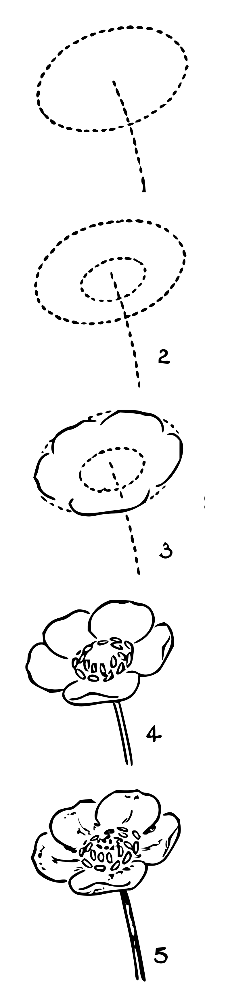 Lutz - Buttercup 1 - in 5 steps