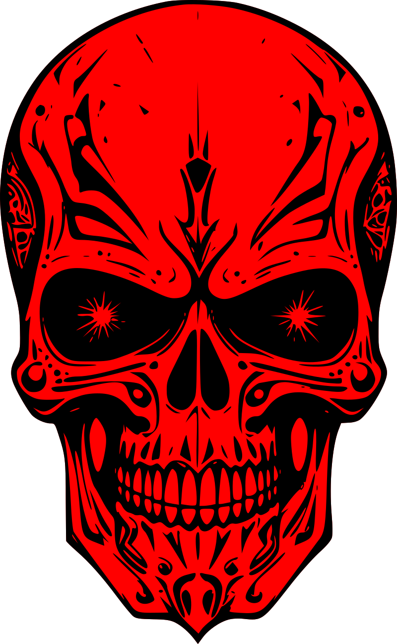 Punk skull
