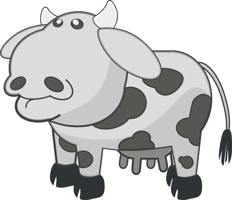 Gray Cow