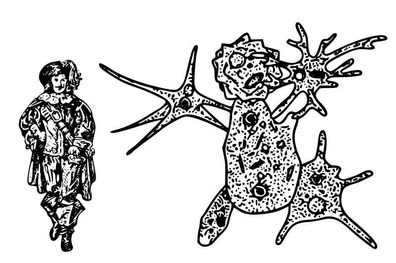 Cancer Amoeba