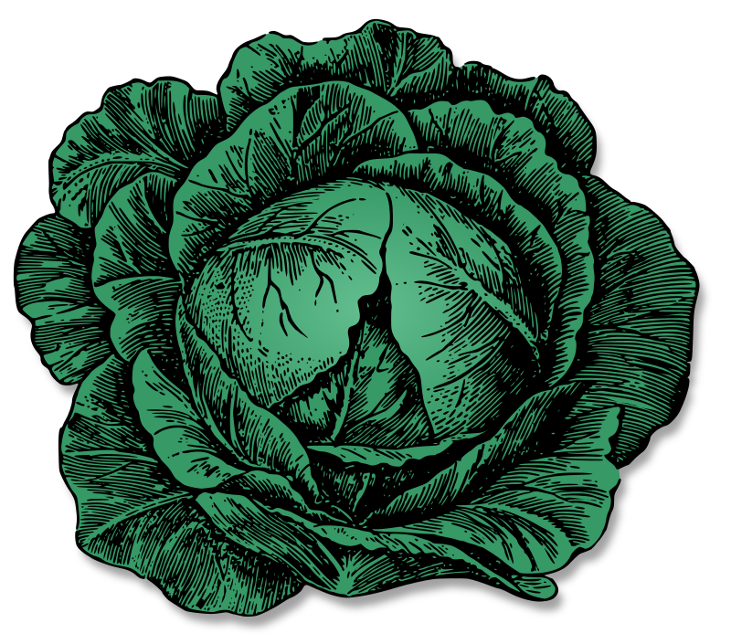 Cabbage - Isolated and Colour Remix