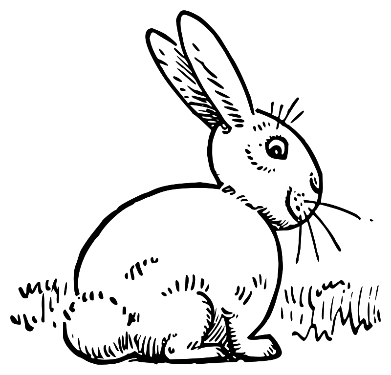 Lutz - Rabbit 1 - outline