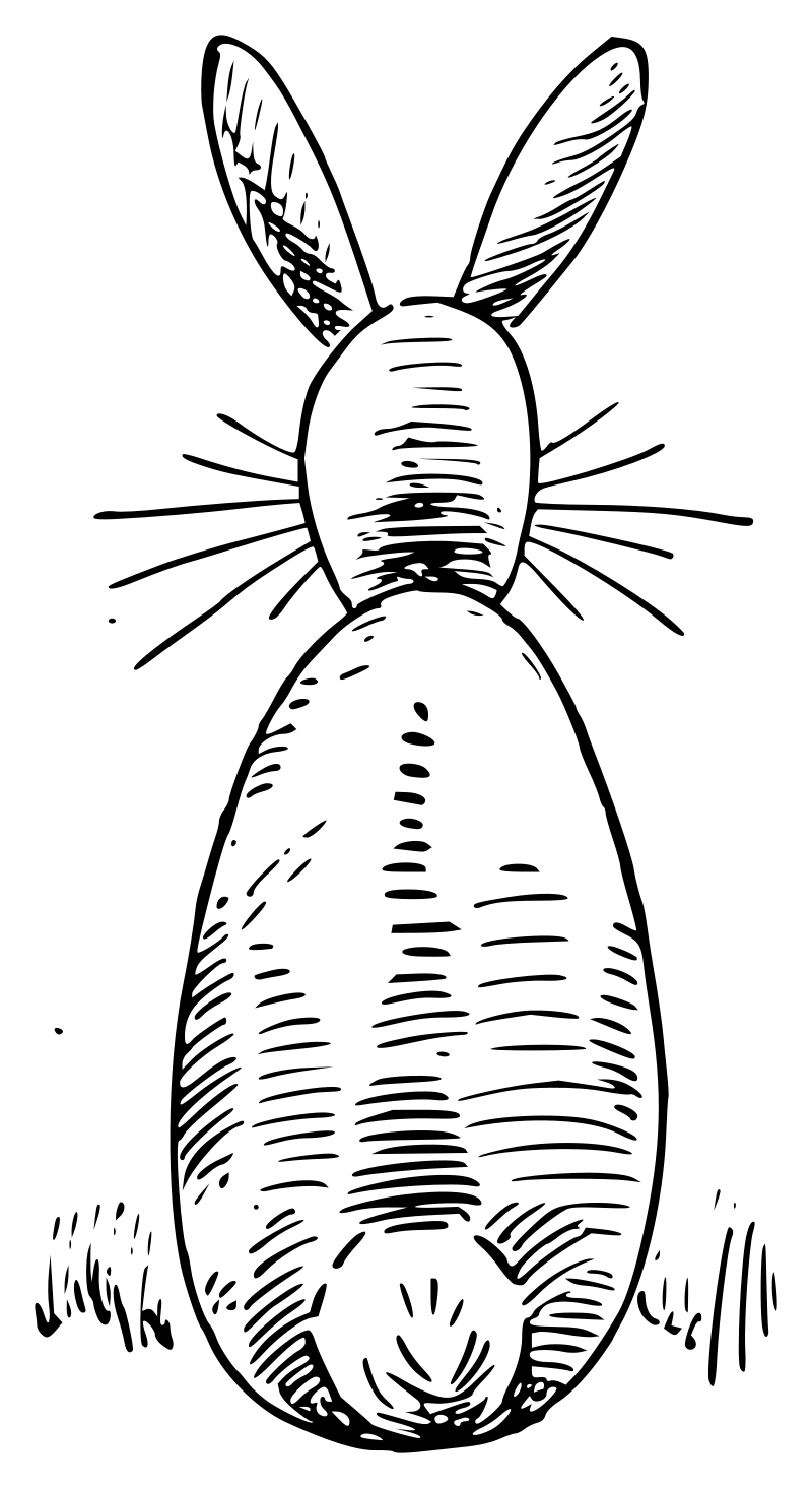 Lutz - Rabbit 2 - outline