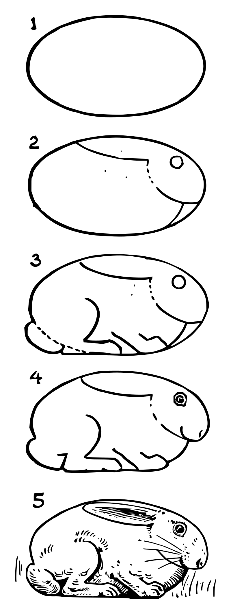 Lutz - Rabbit 3 - in 5 steps