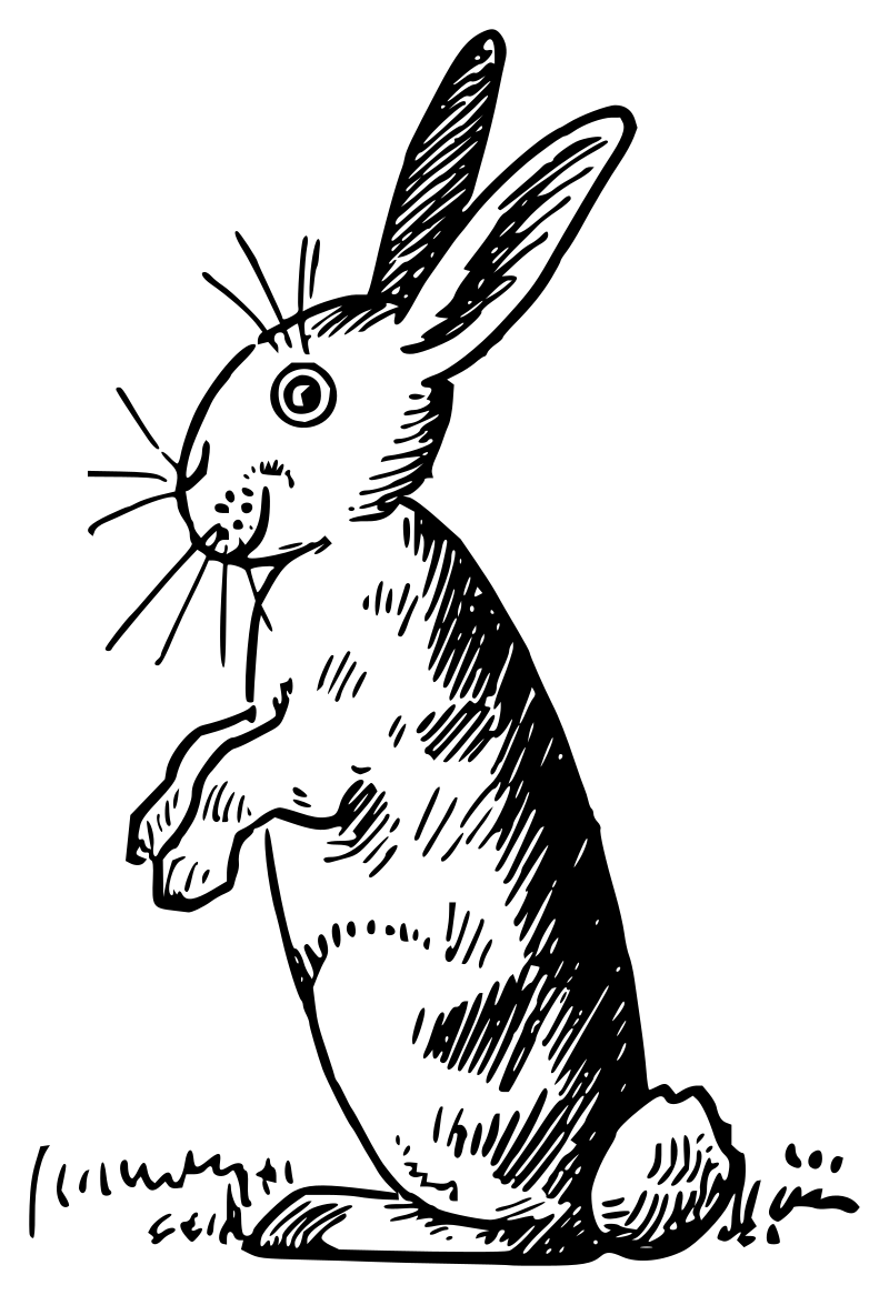 Lutz - Rabbit 4 - outline