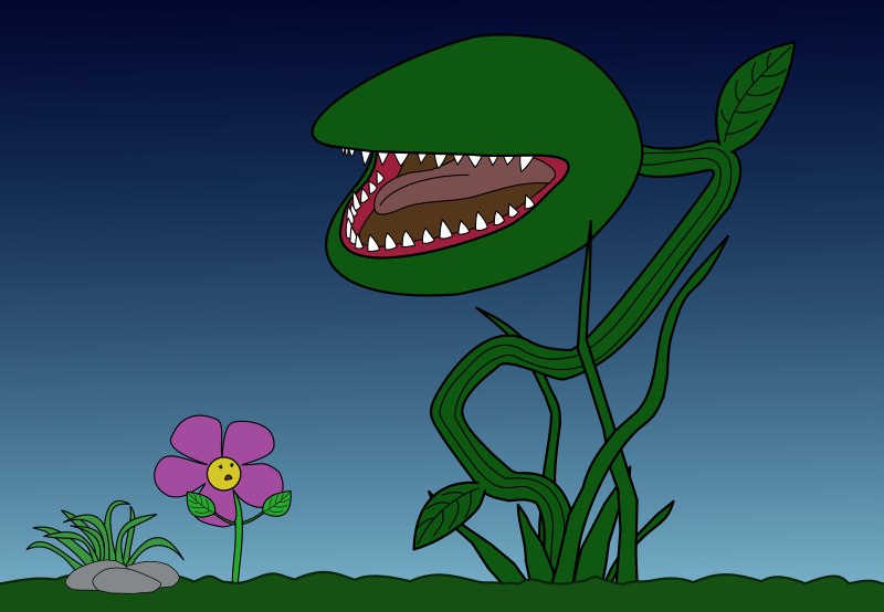 Carnivorous Plant scene