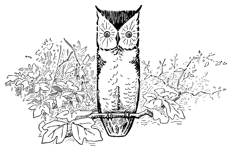 Lutz - Owl 1 - on a tree