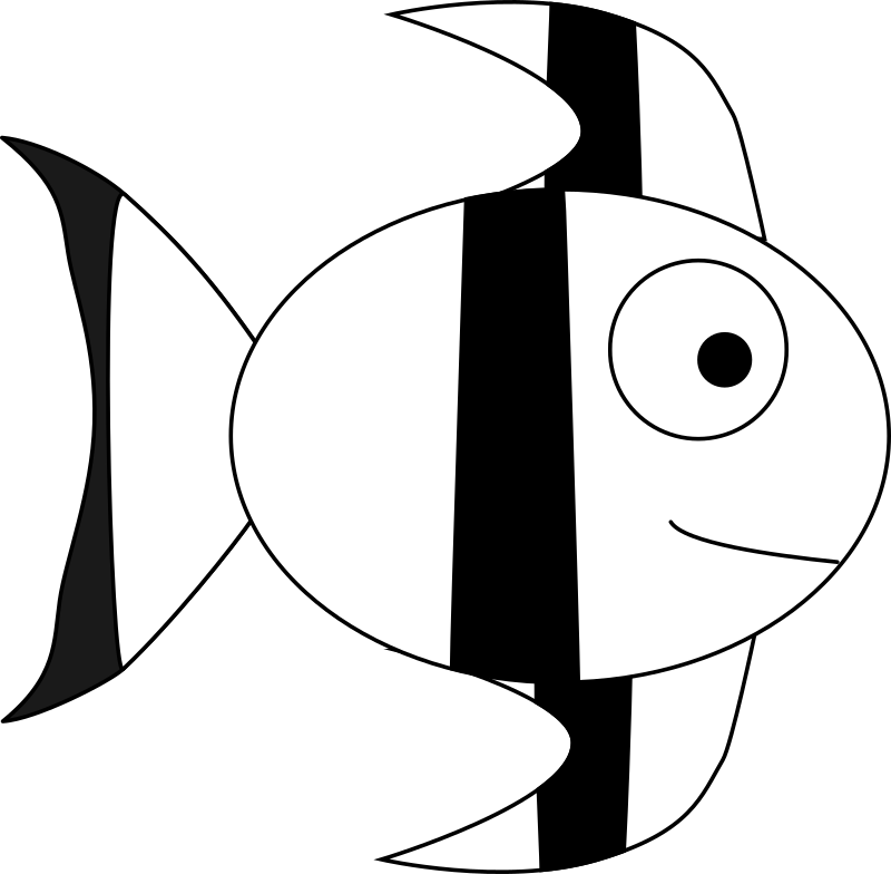 Angelfish