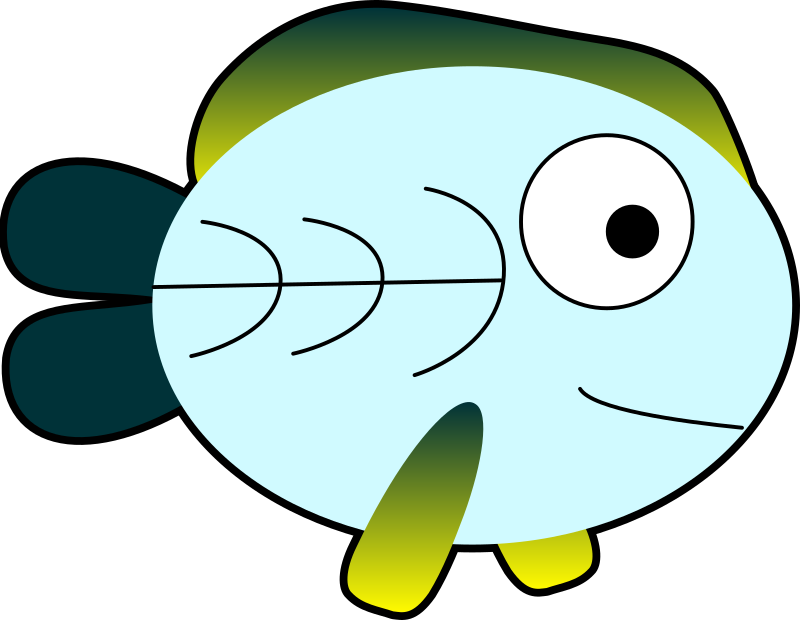 X-Ray Fish