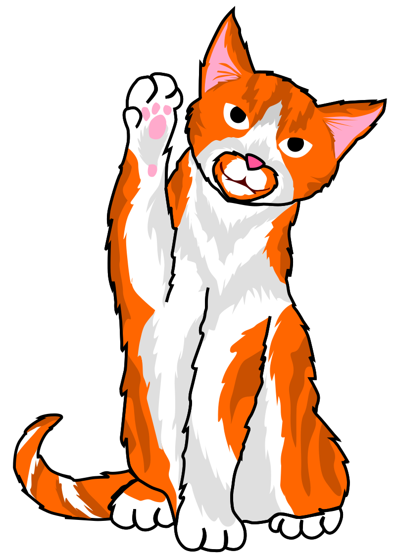 High Five Cat