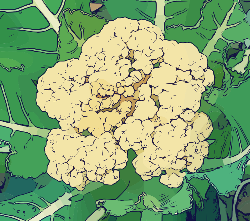 Cauliflower