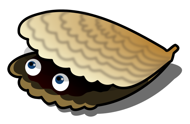 Clam Isolated
