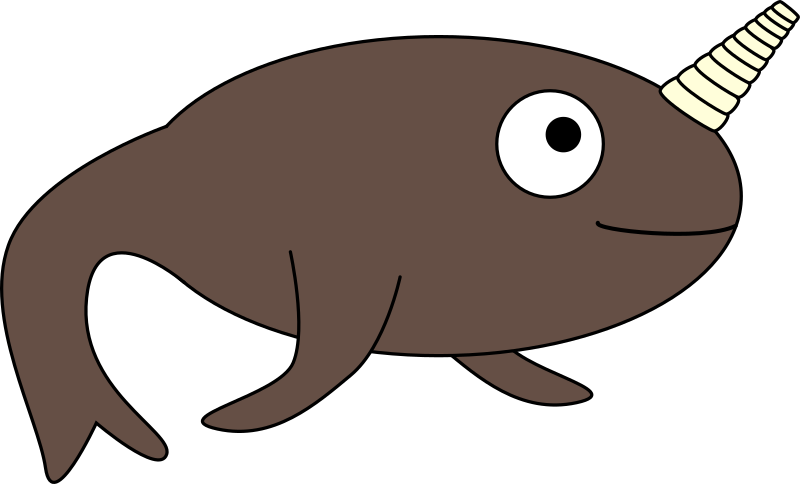 Narwhal