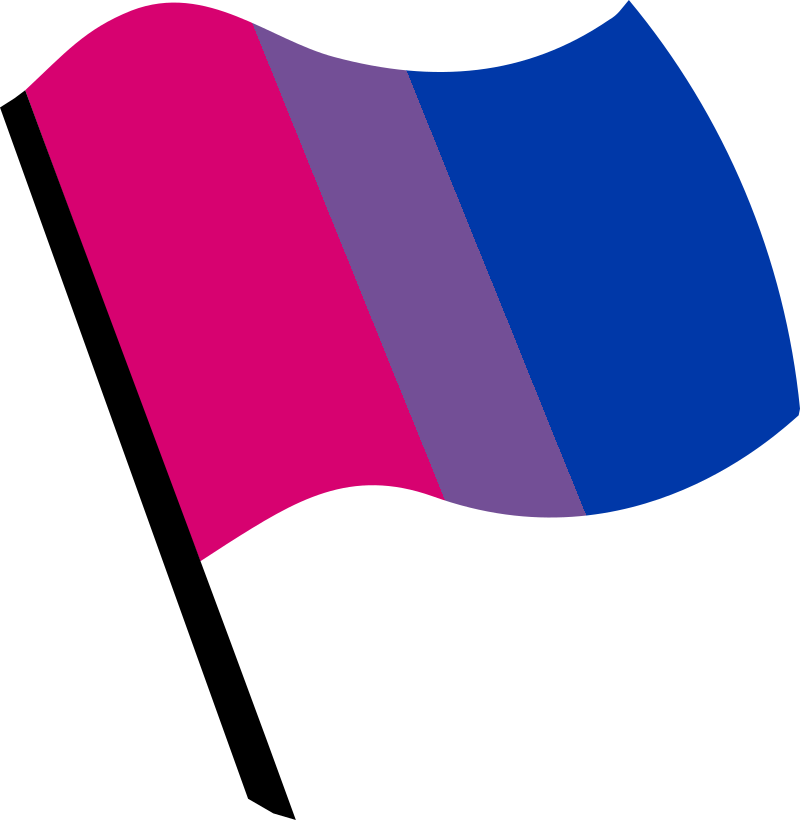 Bisexual pride flag vertical stripes