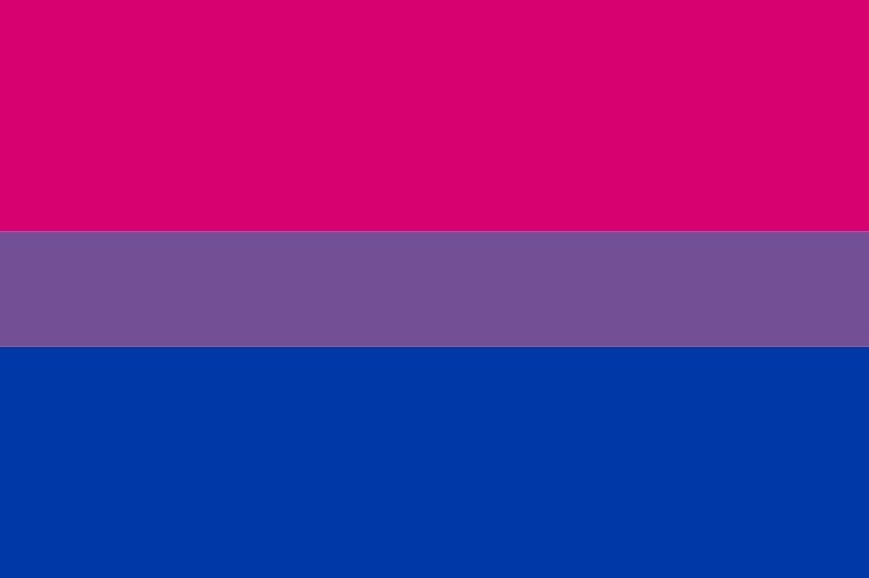 Bisexual flag reduced size