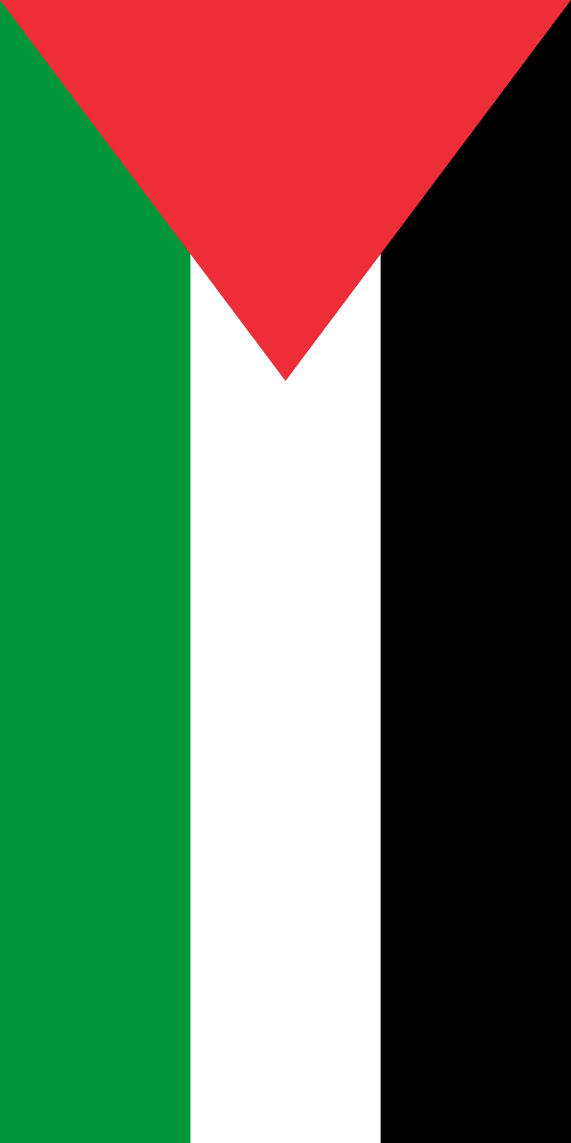 Palestinian flag vertical