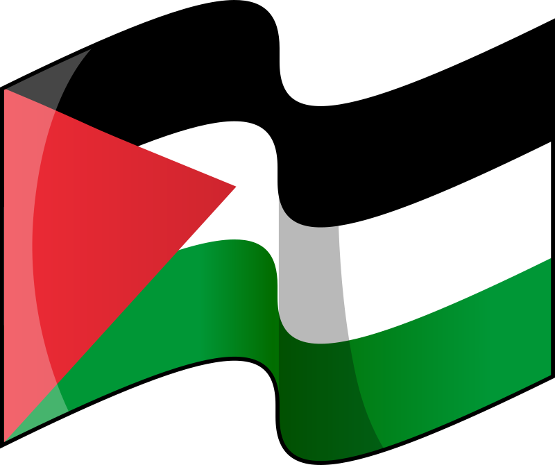Palestine flag waving icon emoji